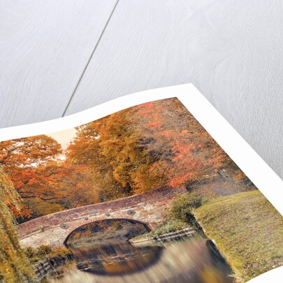 Bridge over a canal by Assaf Frank